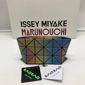 ISSEY MIYAKE Rainbow 4x6 Zipper Handbag Makeup Bag