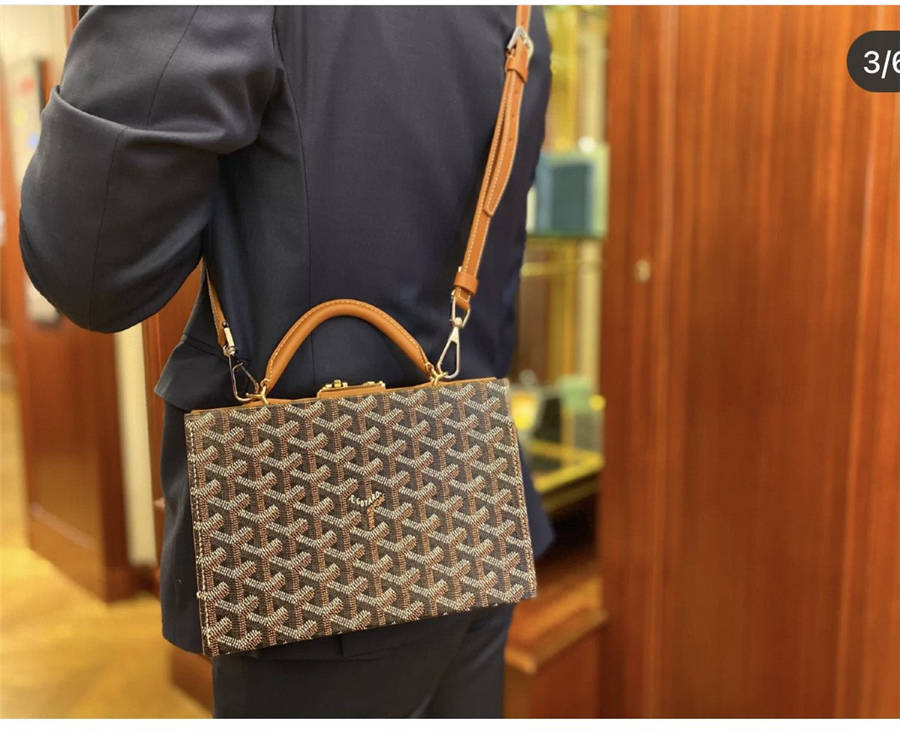 Goyard Regina Trunk Bag - BAGAHOLICBOY